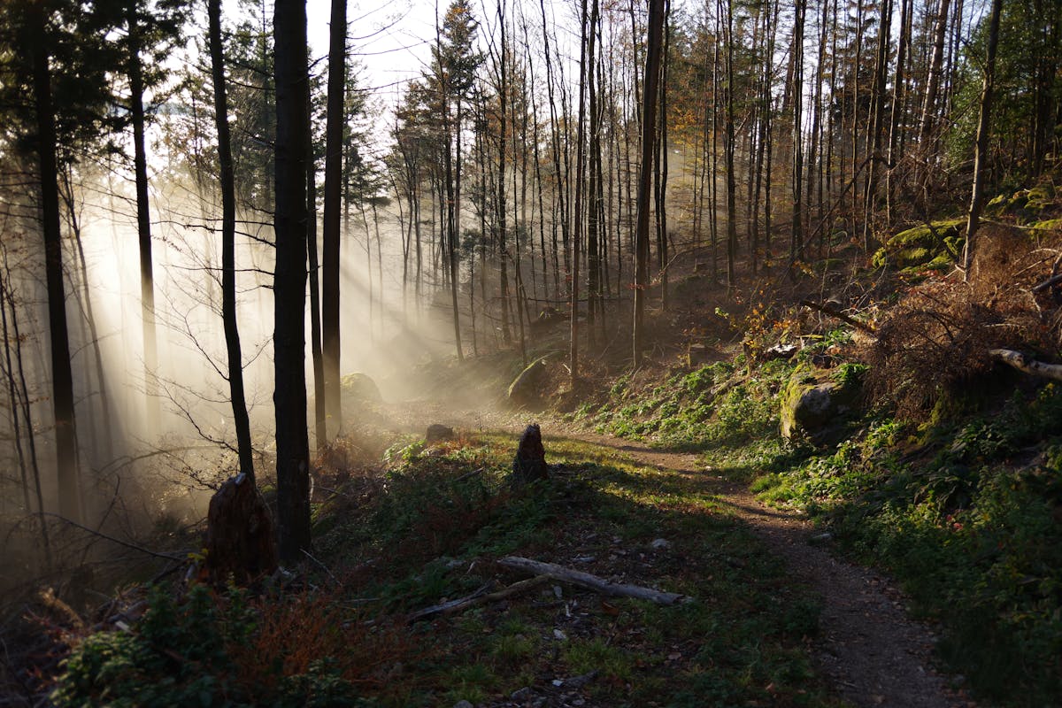 Walking With God